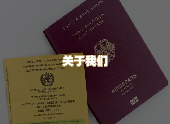 关于天岚学历排版网